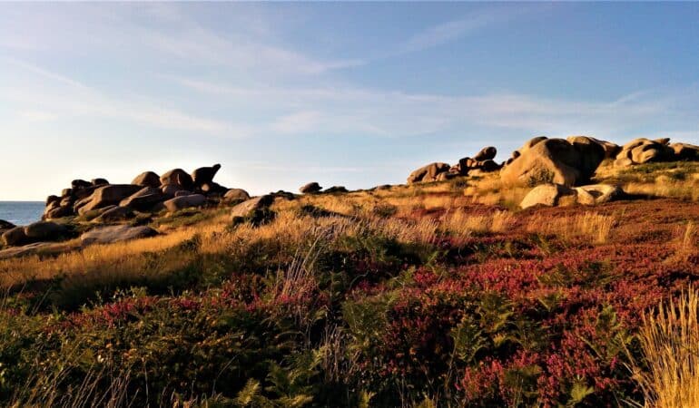 sentier des douaniers Perros-Guirec